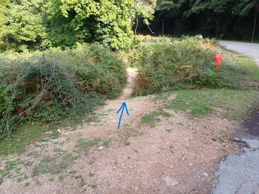 Start of the path to the thousand-year-old chestnut tree, opposite the gate, beside the D268 near Zonza