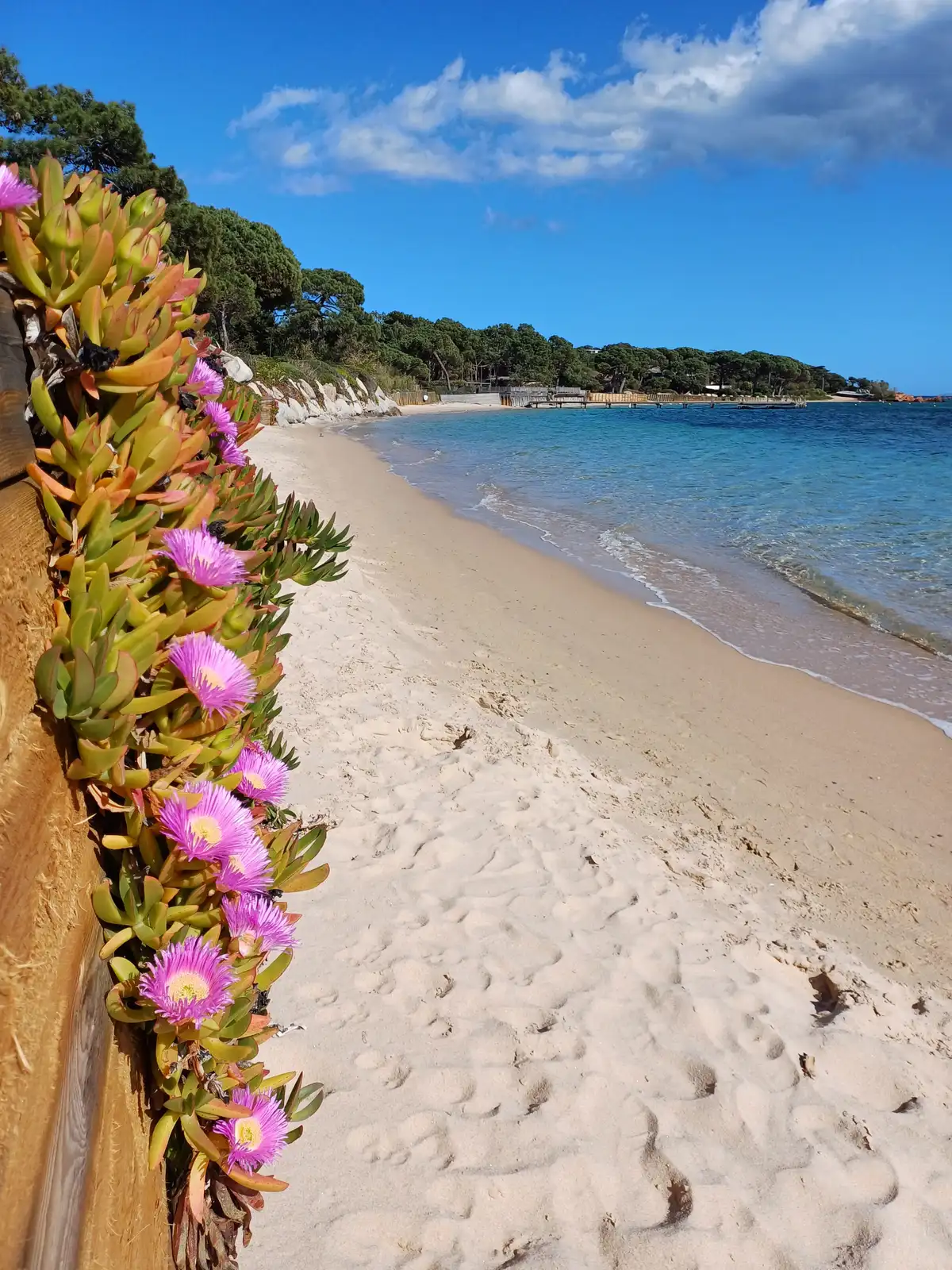 Cala Rossa : guide complet de cette plage paradisiaque