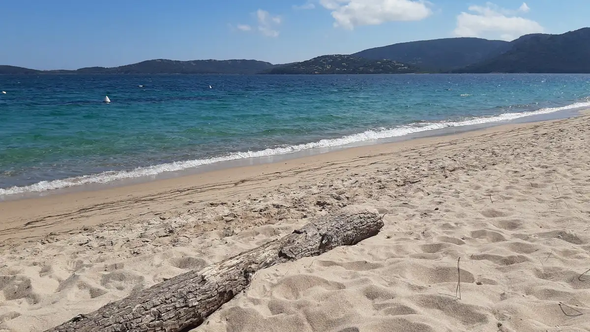 Saint-Cyprien : une plage d'exception accessible à pied