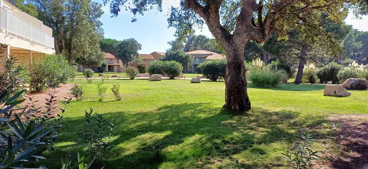 Jardins méditerranéens de la résidence avec grand olivier