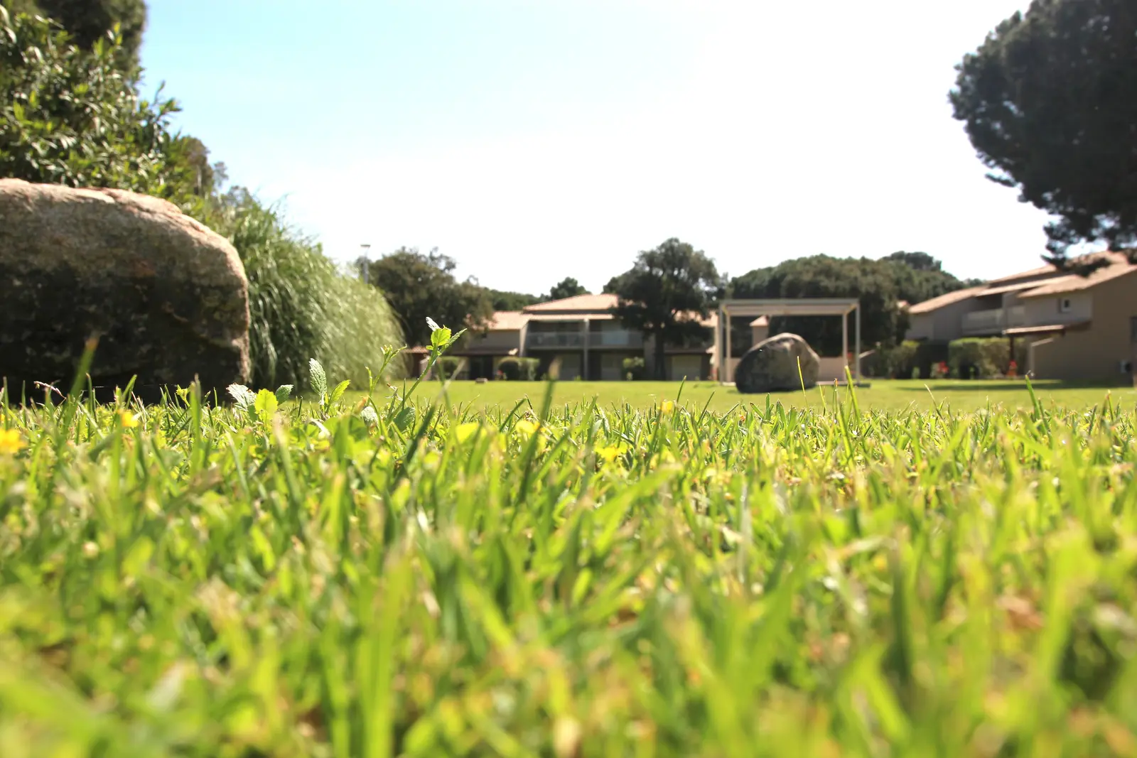 Pelouse verdoyante et bâtiments de la résidence